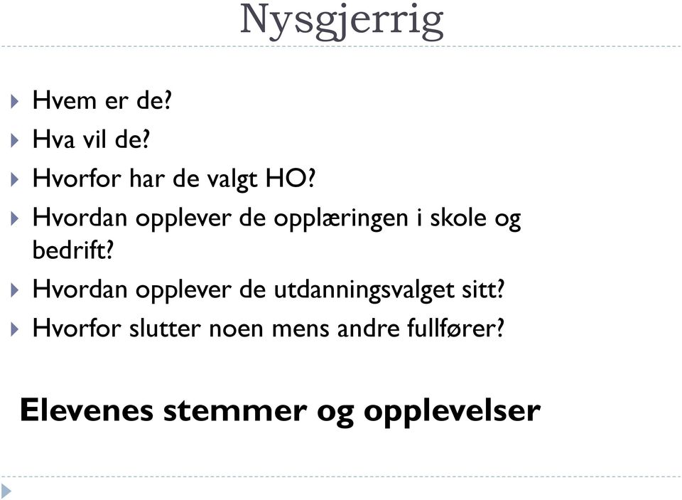 Hvordan opplever de opplæringen i skole og bedrift?