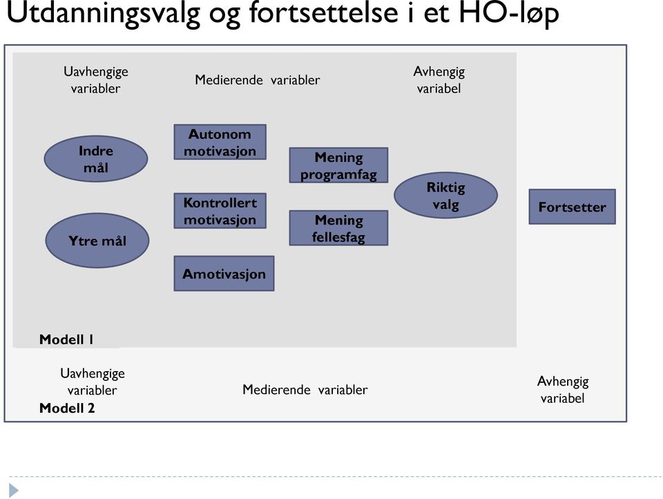 motivasjon Mening programfag Mening fellesfag Riktig valg Fortsetter