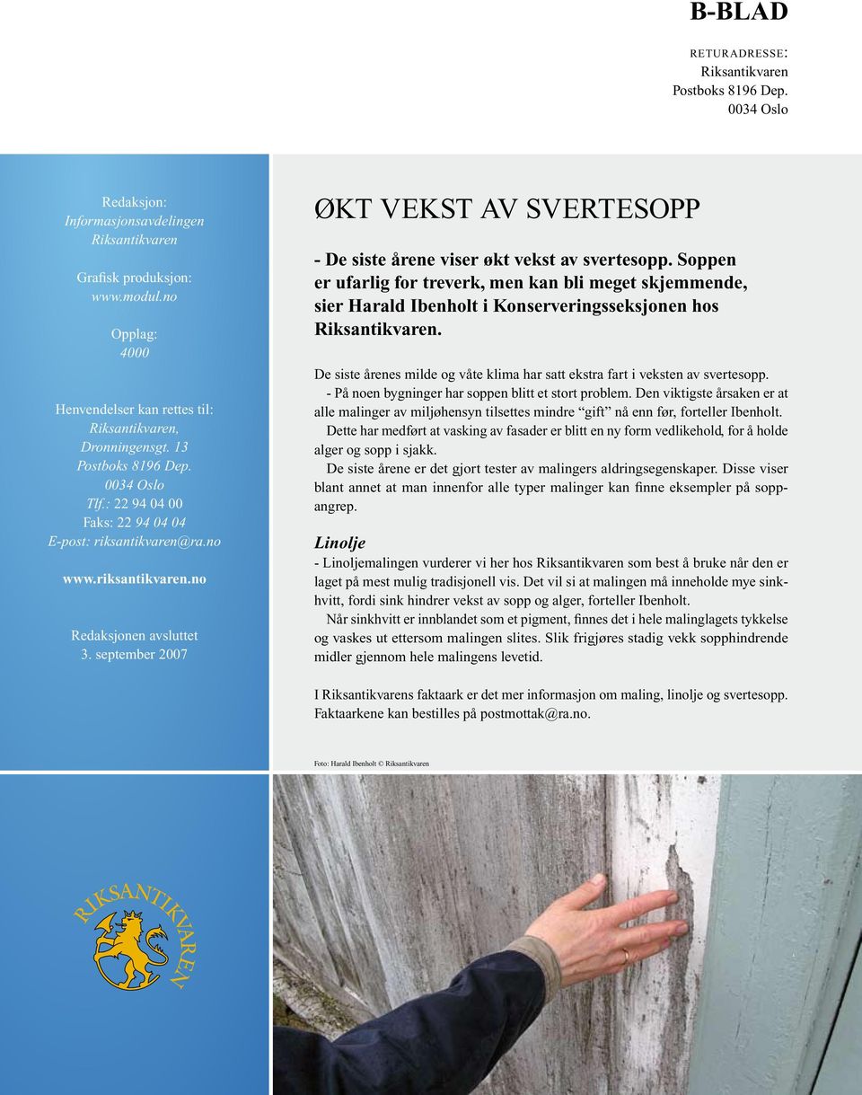 september 2007 Økt vekst av svertesopp - De siste årene viser økt vekst av svertesopp.