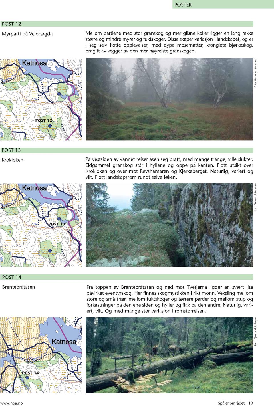 Myrparti på Velohøgda POST 12 POST 13 På vestsiden av vannet reiser åsen seg bratt, med mange trange, ville slukter. Eldgammel granskog står i hyllene og oppe på kanten.