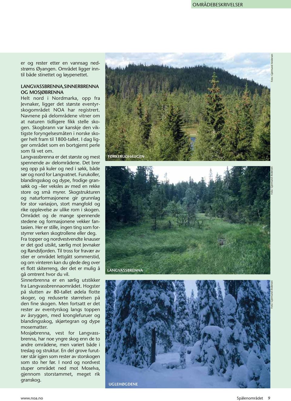 Navnene på delområdene vitner om at naturen tidligere fikk stelle skogen. Skogbrann var kanskje den viktigste foryngelsesmåten i norske skoger helt fram til 1800-tallet.