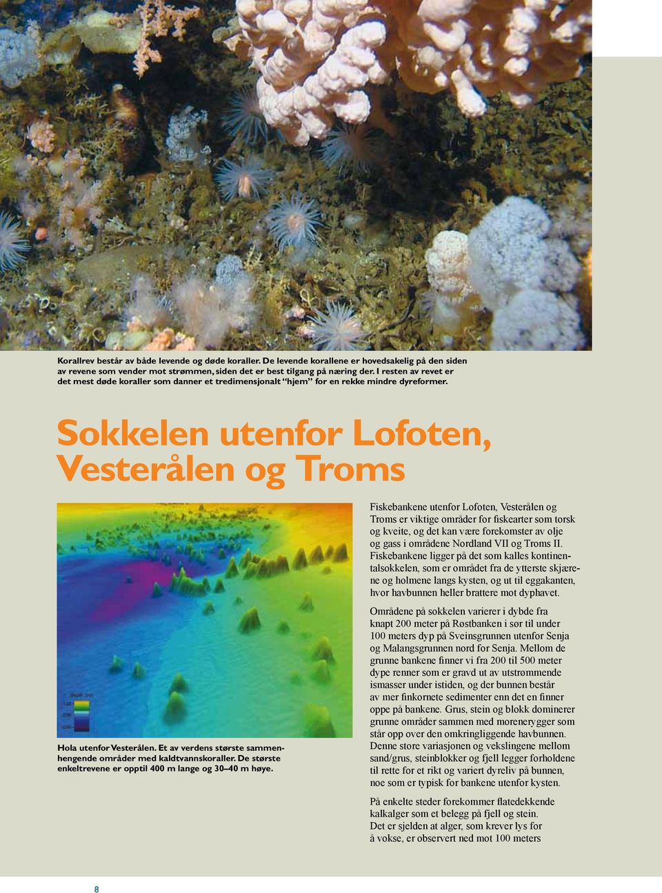 Et av verdens største sammenhengende områder med kaldtvannskoraller. De største enkeltrevene er opptil 400 m lange og 30 40 m høye.