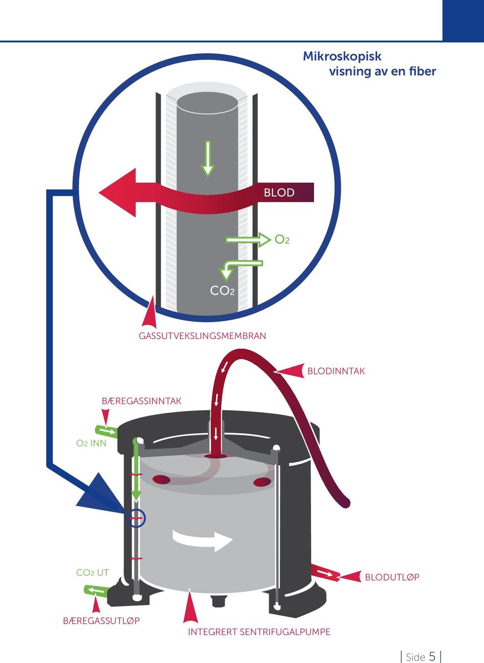 BÆREGASSINNTAK INLET O2 INN O2 IN CO2 CO2 OUT BLOOD BLODUTLØP OUTLET SWEEP