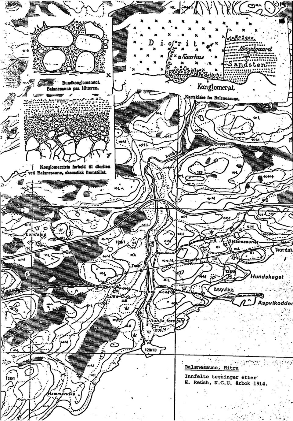 . -., '. ;.' :u.c,,52;.1.11 'rd firt Konglometatetstodiald til dloriten -ved Balsnesaurte,skeetattslztrernstilla _ Y : ', st.. :..... i ' 3 Ji a YC,"34. X X ' X X X 2. x ' II X X X x ft X.. X X X X i?