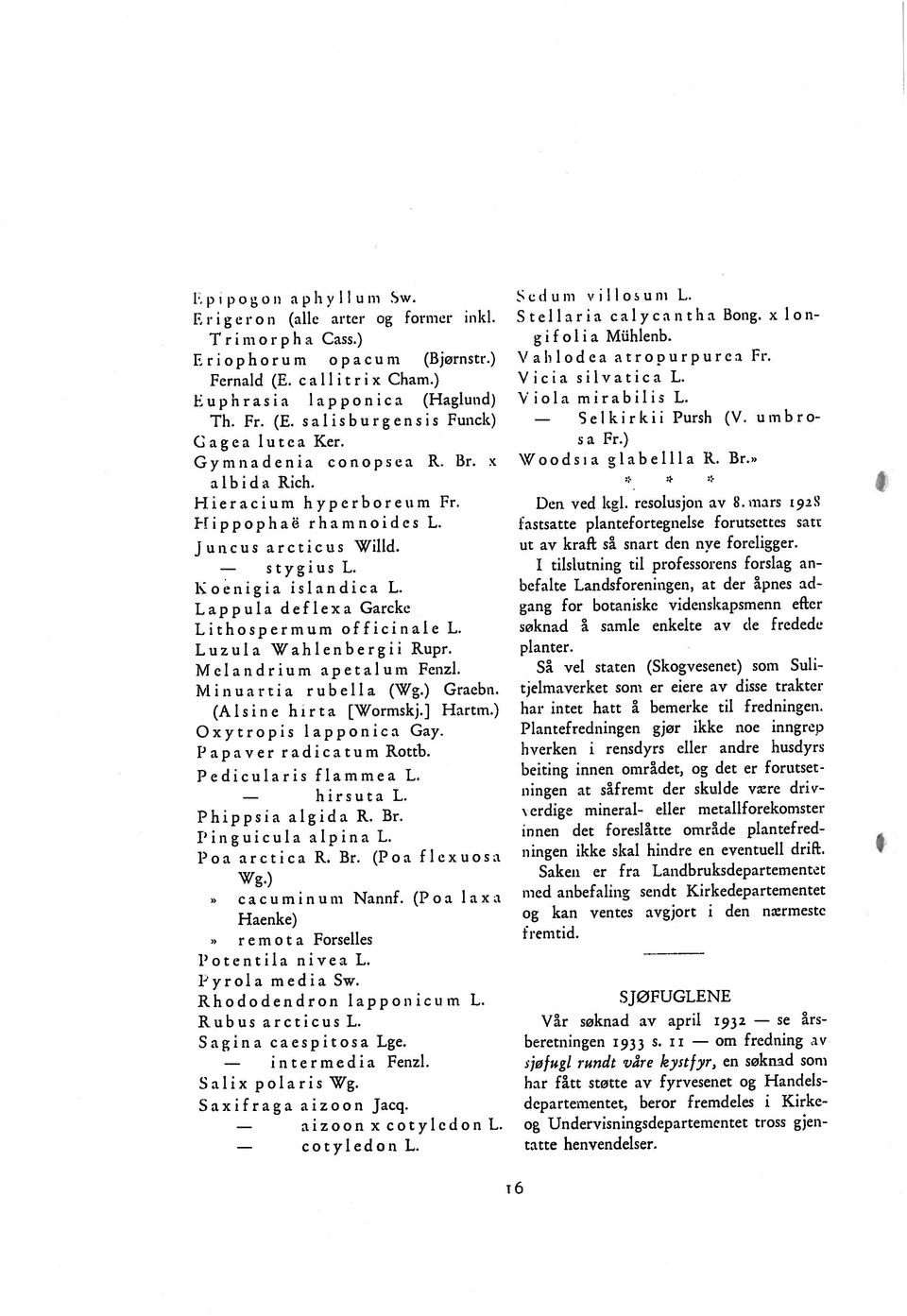 E r i g e r o n (alle arter og former inkl. E r i o p h o r u in o p a c u m (Bjornstr.) Gymnadenia conopsea R. 13r. x Hieracium hyperboreum Fr. F[ippophaë rhamnoides L. Li th ospermum officinale L.