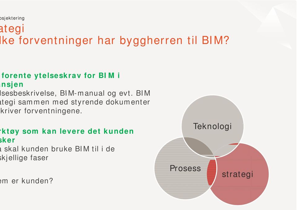 BIM tegi sammen med styrende dokumenter kriver forventningene.