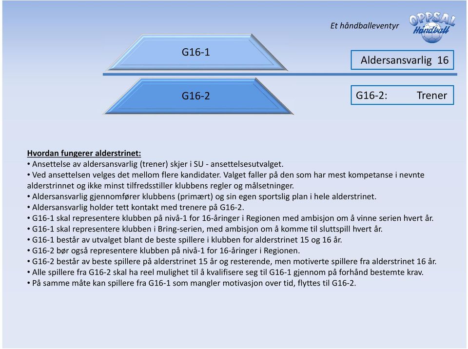 Aldersansvarlig gjennomfører klubbens (primært) og sin egen sportslig plan i hele alderstrinet. Aldersansvarlig holder tett kontakt med trenere på G16 2.