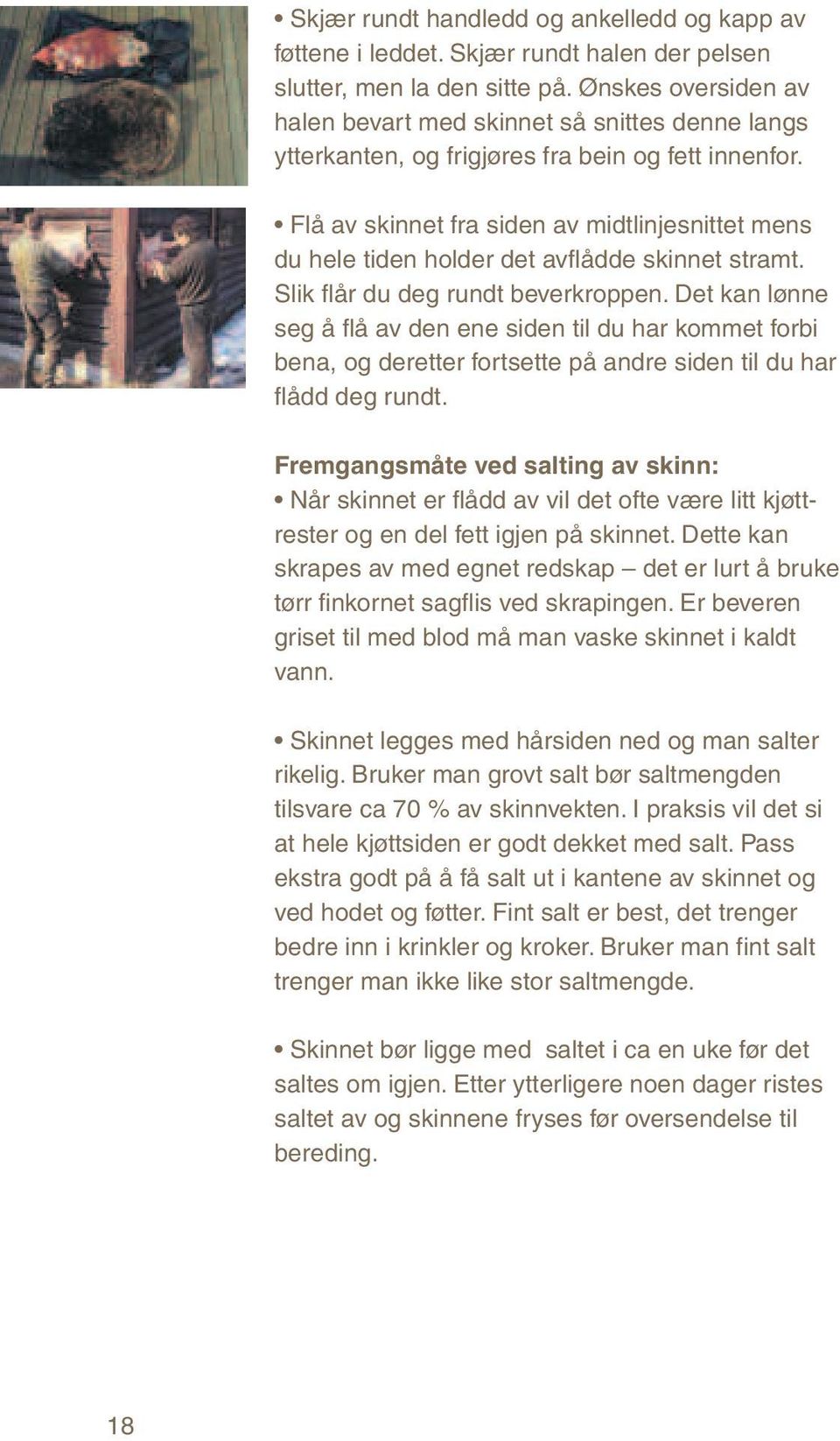 Flå av skinnet fra siden av midtlinjesnittet mens du hele tiden holder det avflådde skinnet stramt. Slik flår du deg rundt beverkroppen.