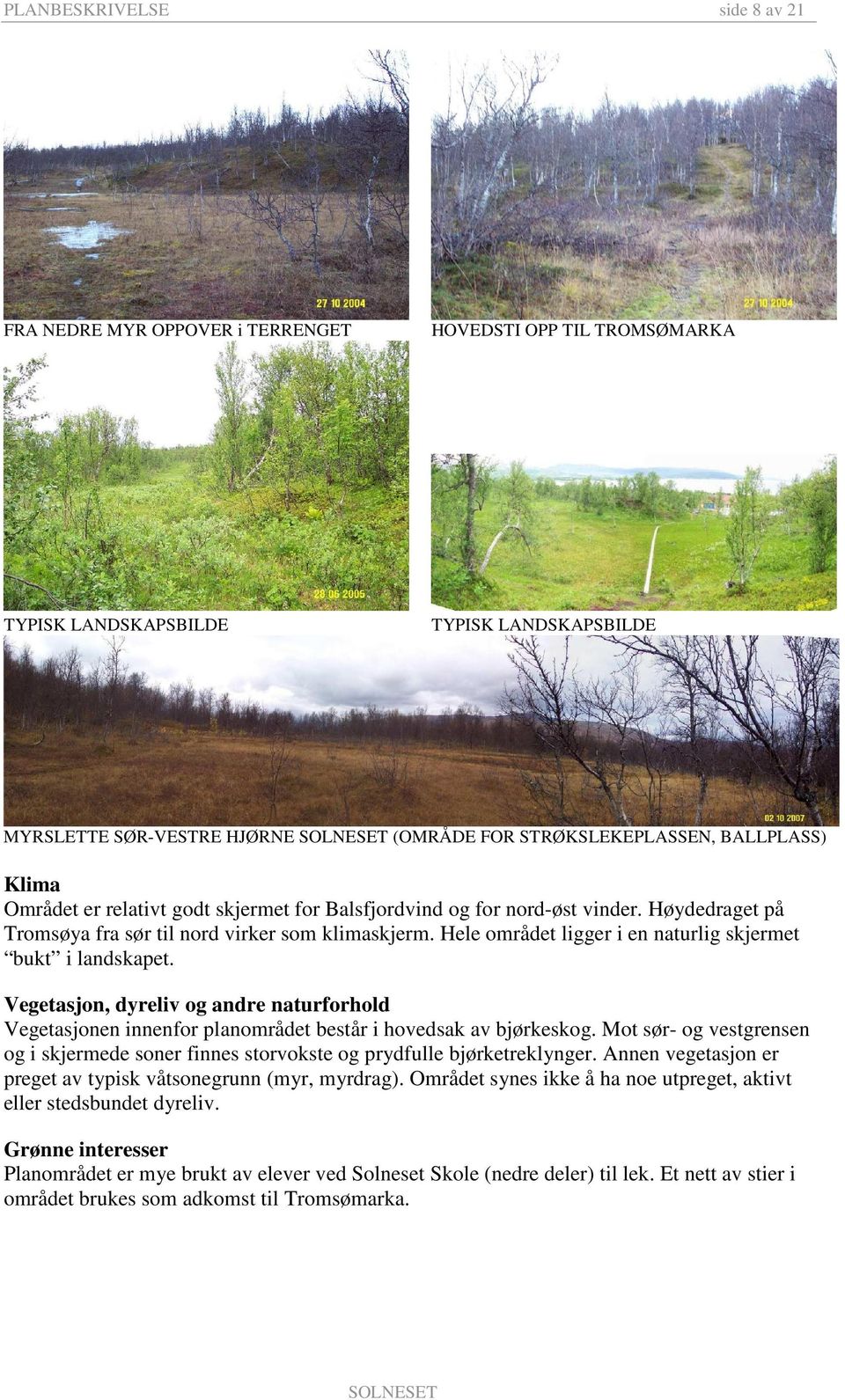 Hele området ligger i en naturlig skjermet bukt i landskapet. Vegetasjon, dyreliv og andre naturforhold Vegetasjonen innenfor planområdet består i hovedsak av bjørkeskog.