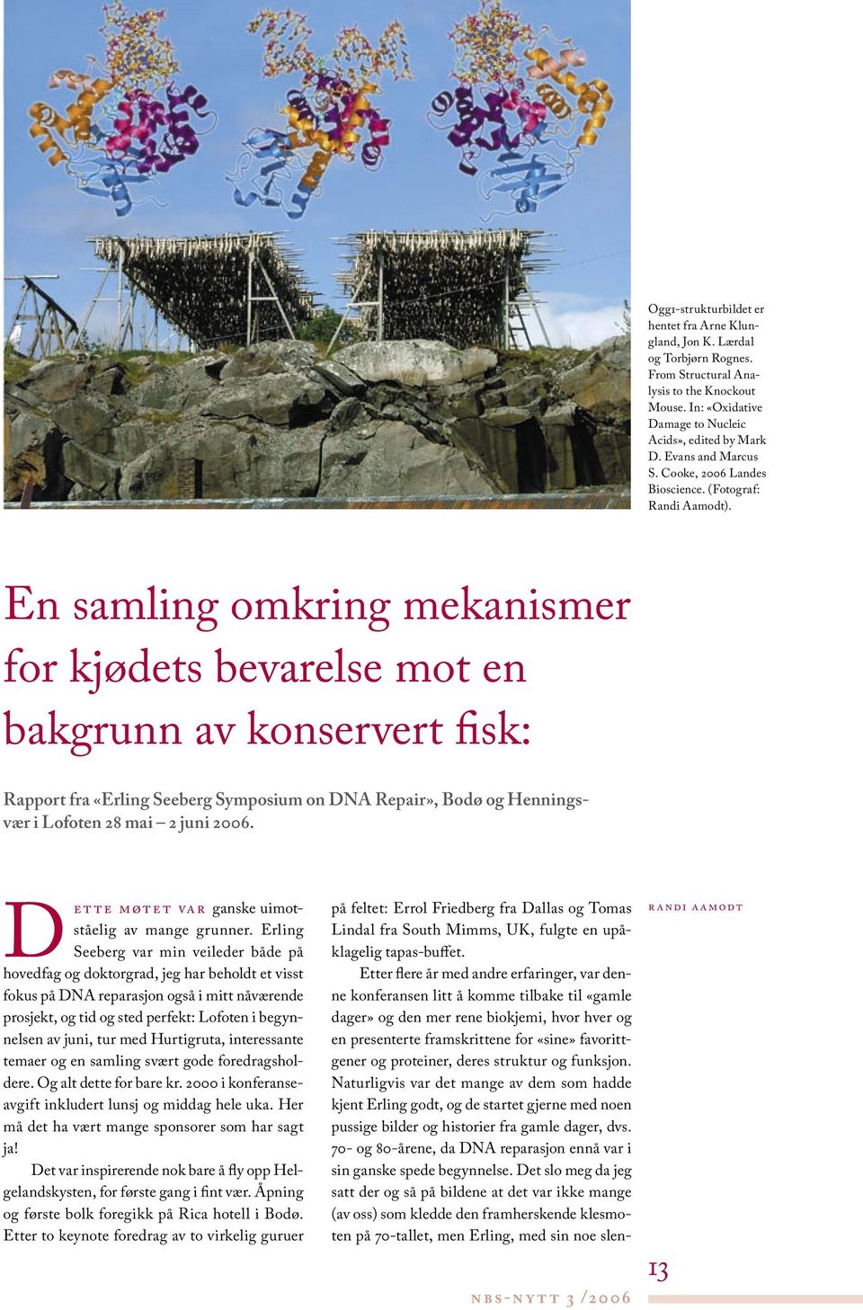 En samling omkring mekanismer for kjødets bevarelse mot en bakgrunn av konservert fisk: Rapport fra «Erling Seeberg Symposium on DNA Repair», Bodø og Henningsvær i Lofoten 28 mai 2 juni 2006.