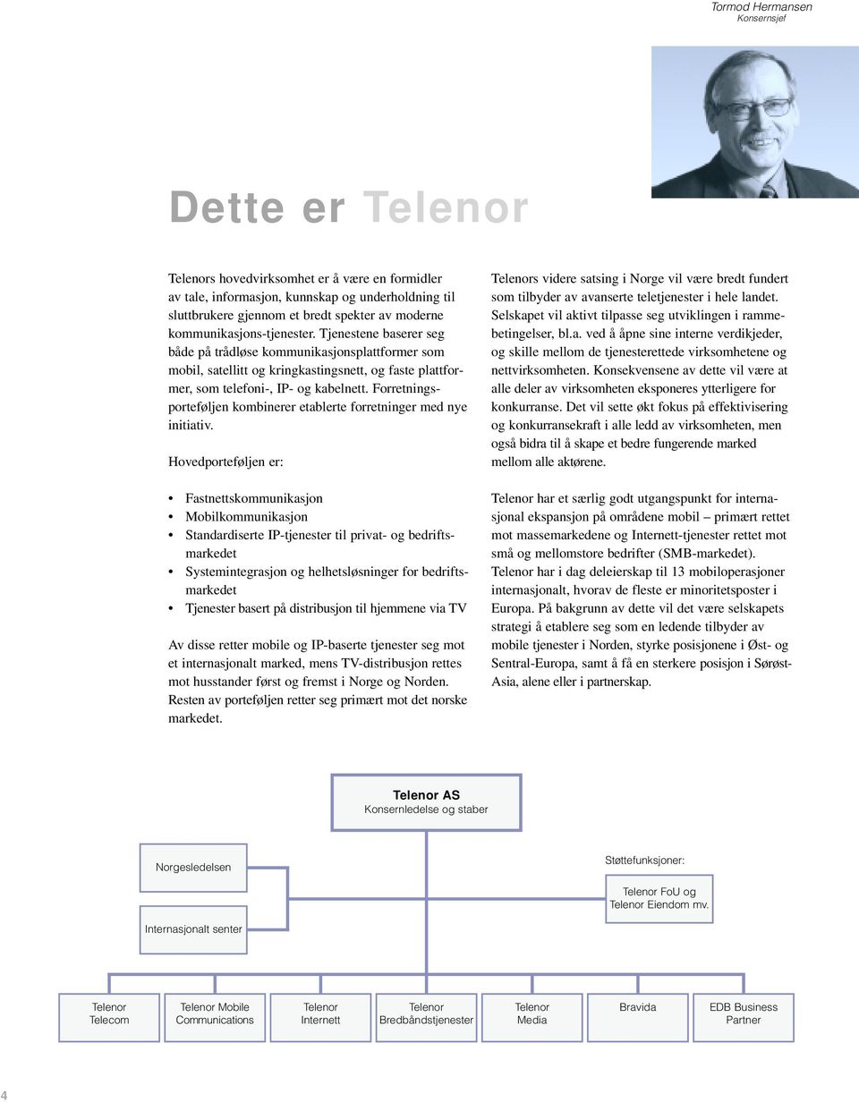 Forretningsporteføljen kombinerer etablerte forretninger med nye initiativ.