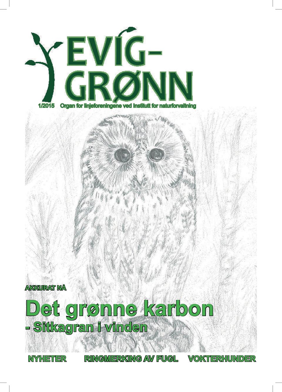 NÅ Det grønne karbon - Sitkagran i