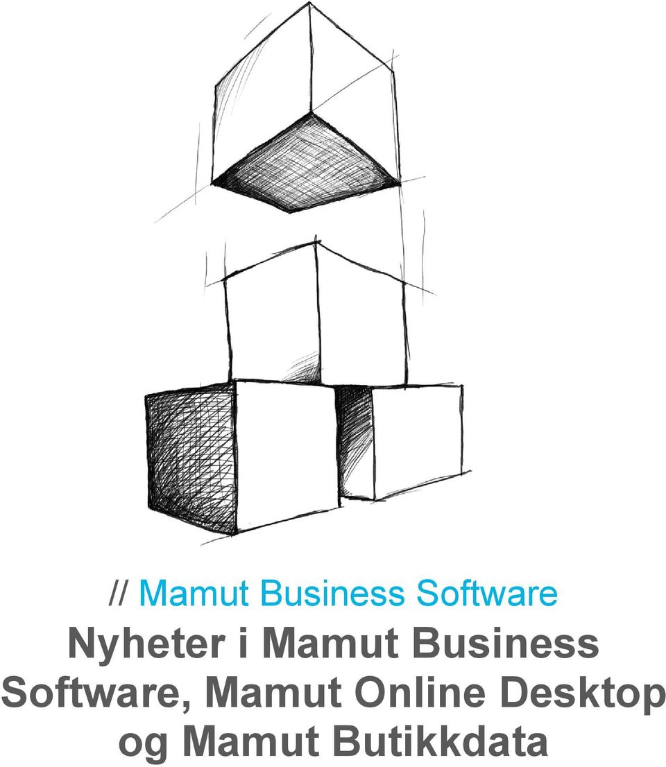 Business Software, Mamut