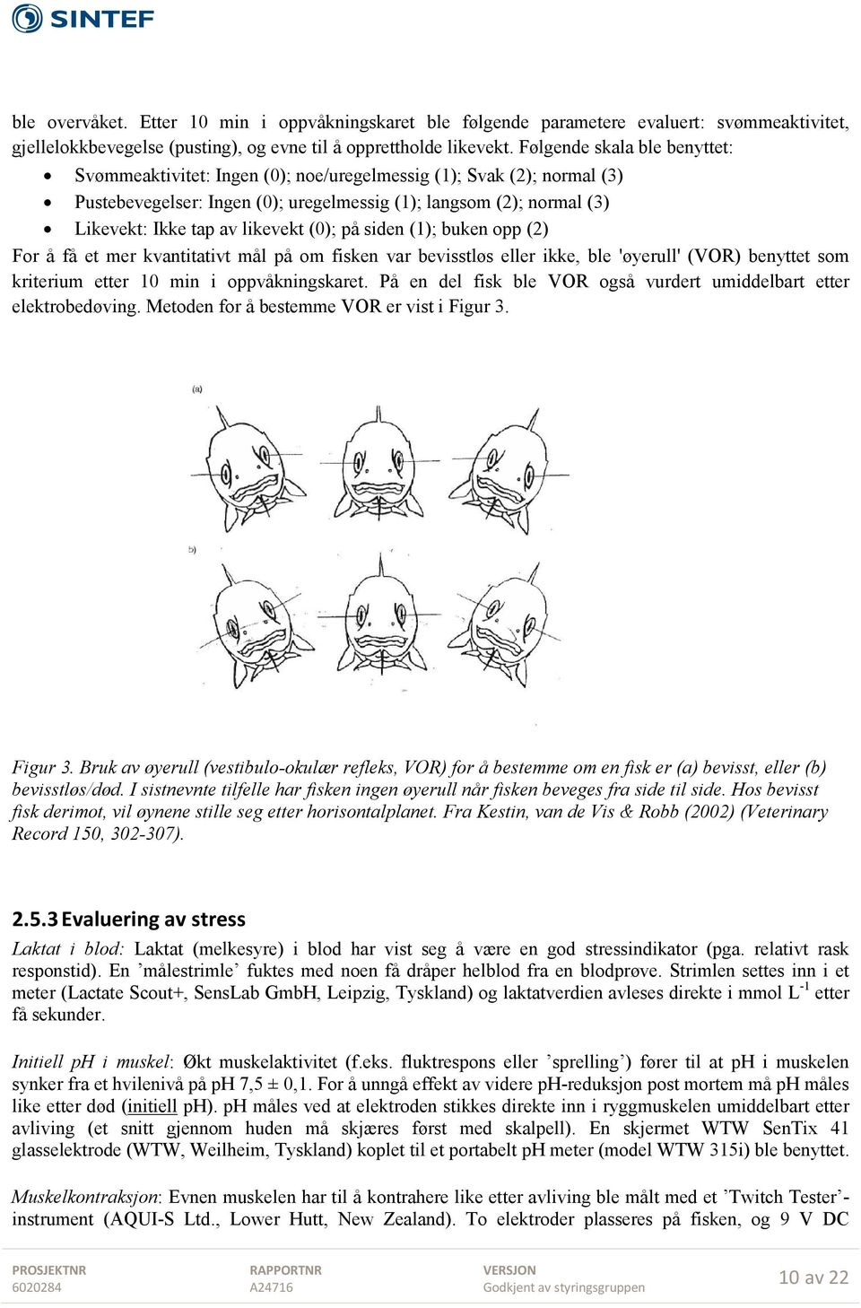 likevekt (0); på siden (1); buken opp (2) For å få et mer kvantitativt mål på om fisken var bevisstløs eller ikke, ble 'øyerull' (VOR) benyttet som kriterium etter 10 min i oppvåkningskaret.