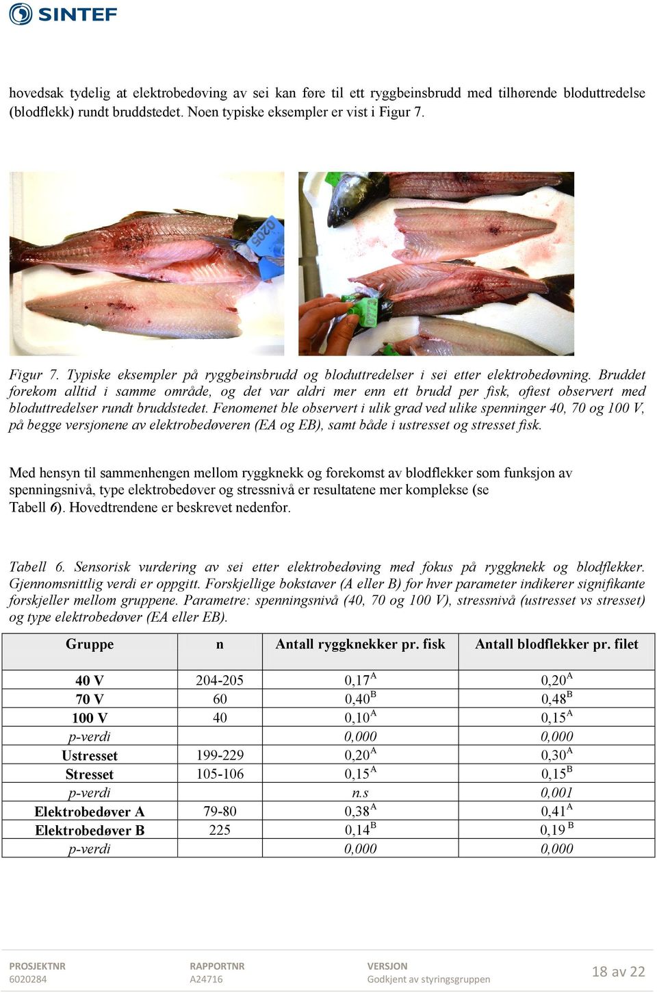 Bruddet forekom alltid i samme område, og det var aldri mer enn ett brudd per fisk, oftest observert med bloduttredelser rundt bruddstedet.