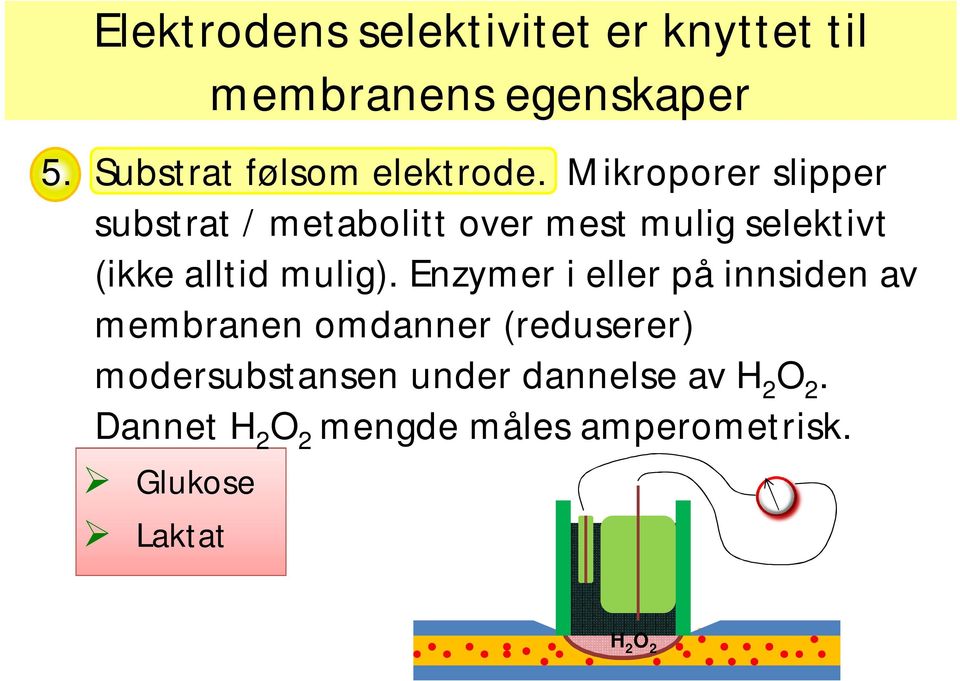 Mikroporer slipper substrat / metabolitt over mest mulig selektivt (ikke alltid mulig).