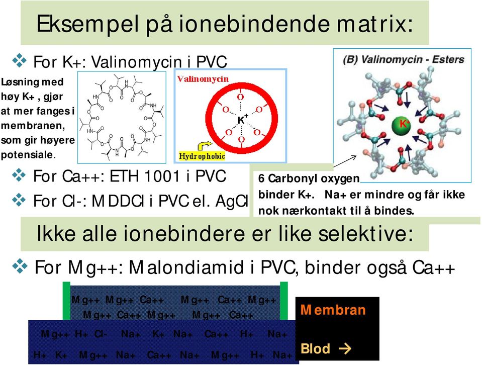 AgCl Ikke alle ionebindere er like selektive: For Mg++: Malondiamid i PVC, binder også Ca++ K + 6 Carbonyl oxygen binder K+.