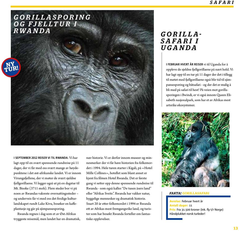 På veien mot gorillasporingen i Bwindi, er vi også innom Queen Elisabeth nasjonalpark, som har et av Afrikas mest artsrike økosystemer. I september 2012 reiser vi til Rwanda.