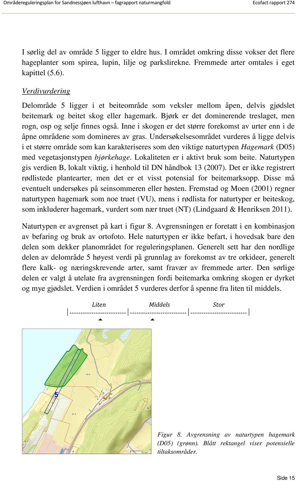 Bjørk er det dominerende treslaget, men rogn, osp og selje finnes også. Inne i skogen er det større forekomst av urter enn i de åpne områdene som domineres av gras.