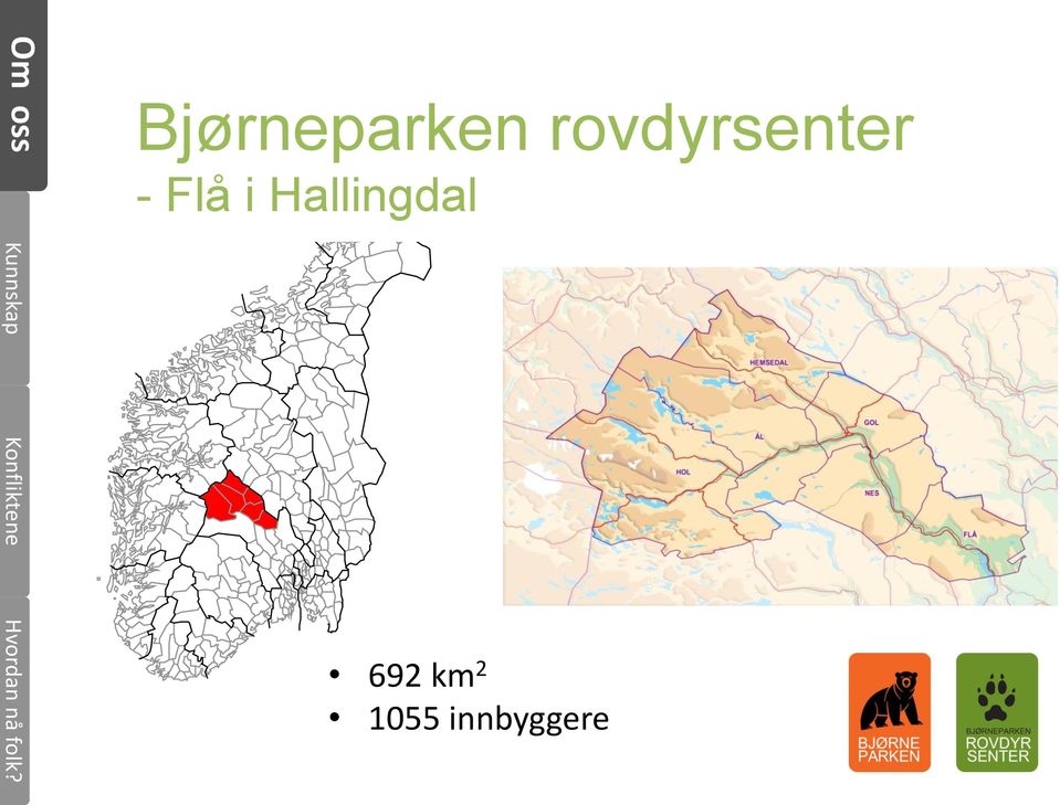 Flå i Hallingdal