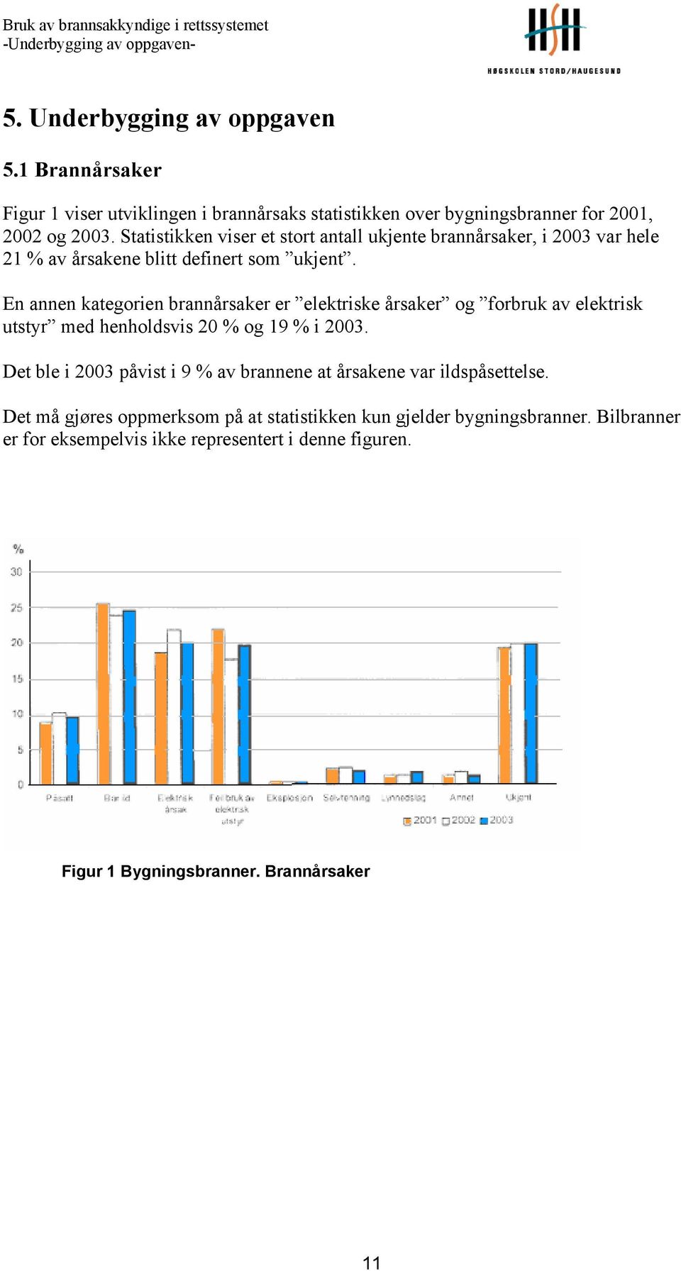 Statistikken viser et stort antall ukjente brannårsaker, i 2003 var hele 21 % av årsakene blitt definert som ukjent.