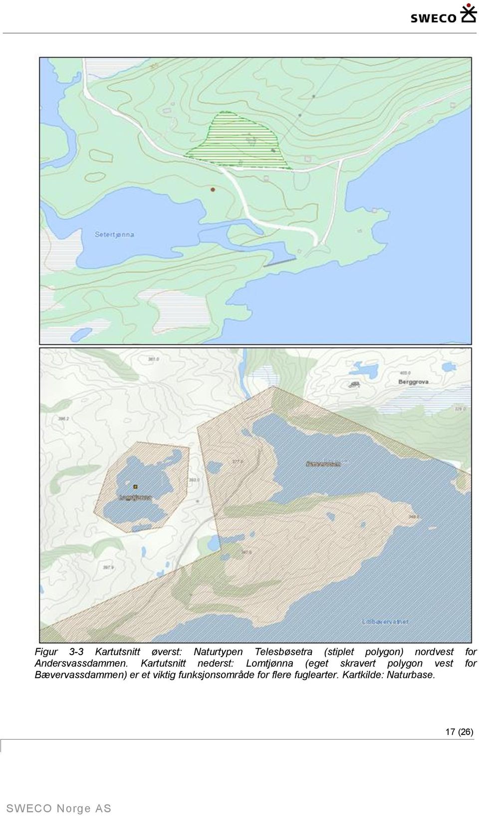 Kartutsnitt nederst: Lomtjønna (eget skravert polygon vest for