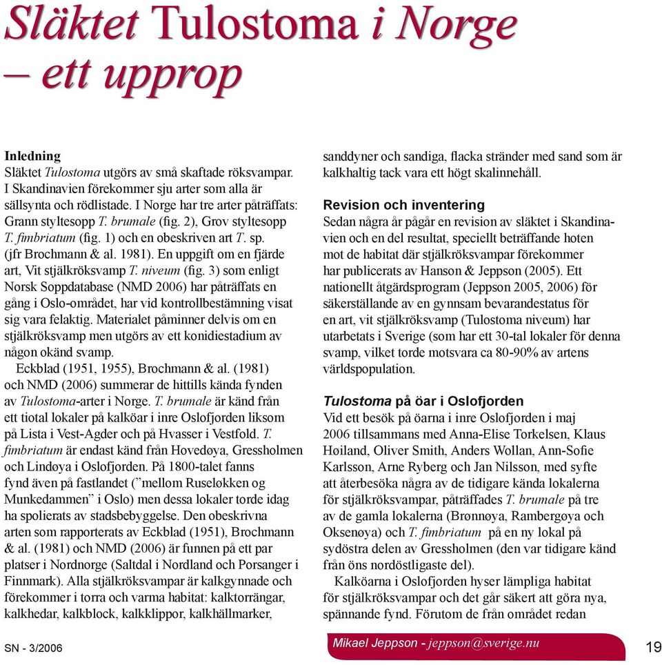 En uppgift om en fjärde art, Vit stjälkröksvamp T. niveum (fig. 3) som enligt Norsk Soppdatabase (NMD 2006) har påträffats en gång i Oslo-området, har vid kontrollbestämning visat sig vara felaktig.