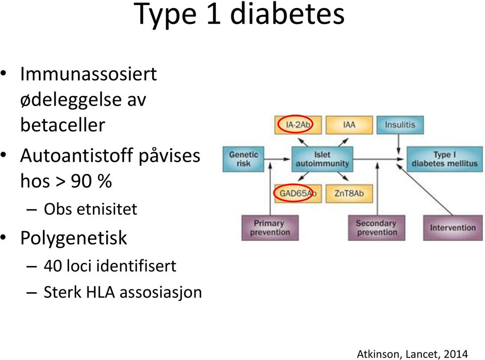 Obs etnisitet Polygenetisk 40 loci