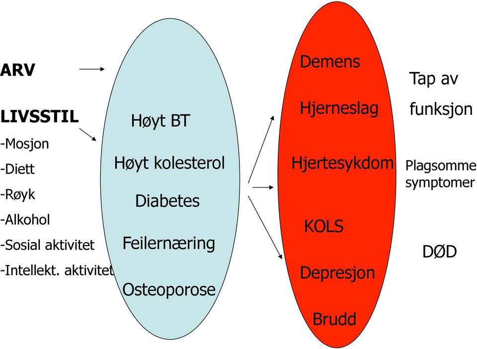 aktivitet Høyt kolesterol Diabetes Feilernæring Osteoporose