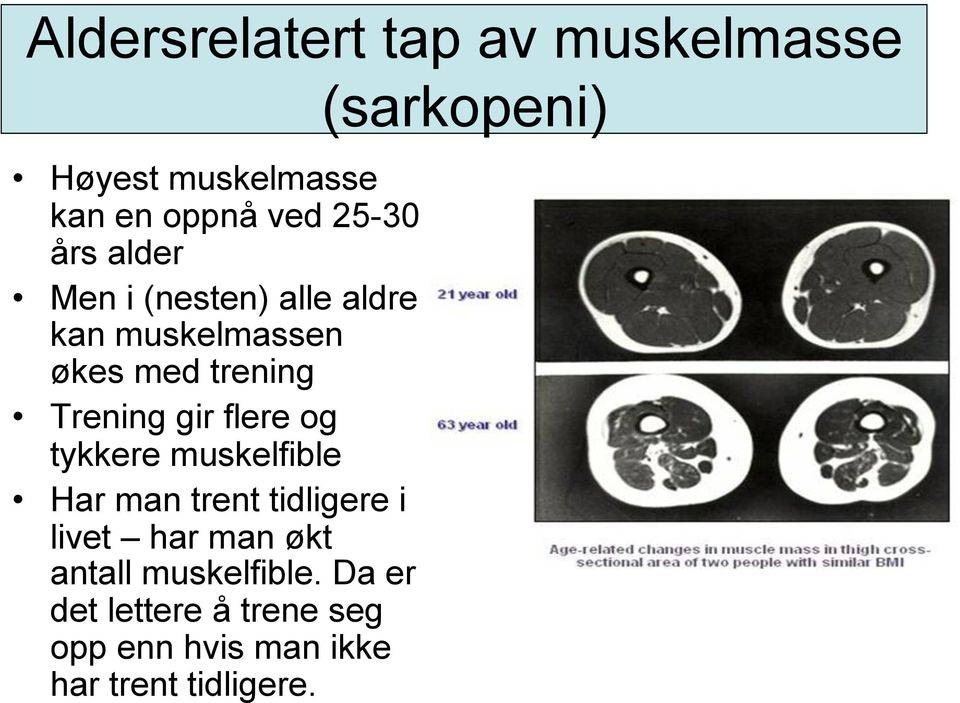 og tykkere muskelfible Har man trent tidligere i livet har man økt antall