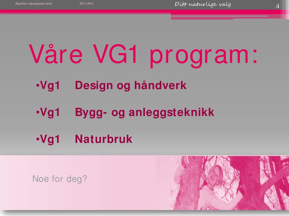 Vg1 Vg1 Design og håndverk Bygg-