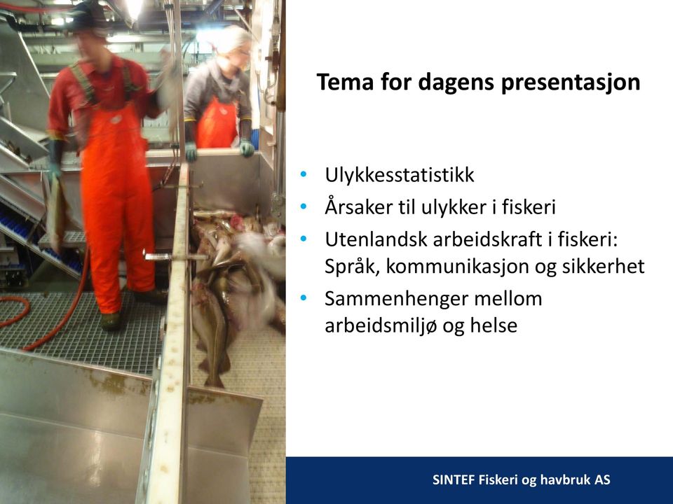 arbeidskraft i fiskeri: Språk, kommunikasjon
