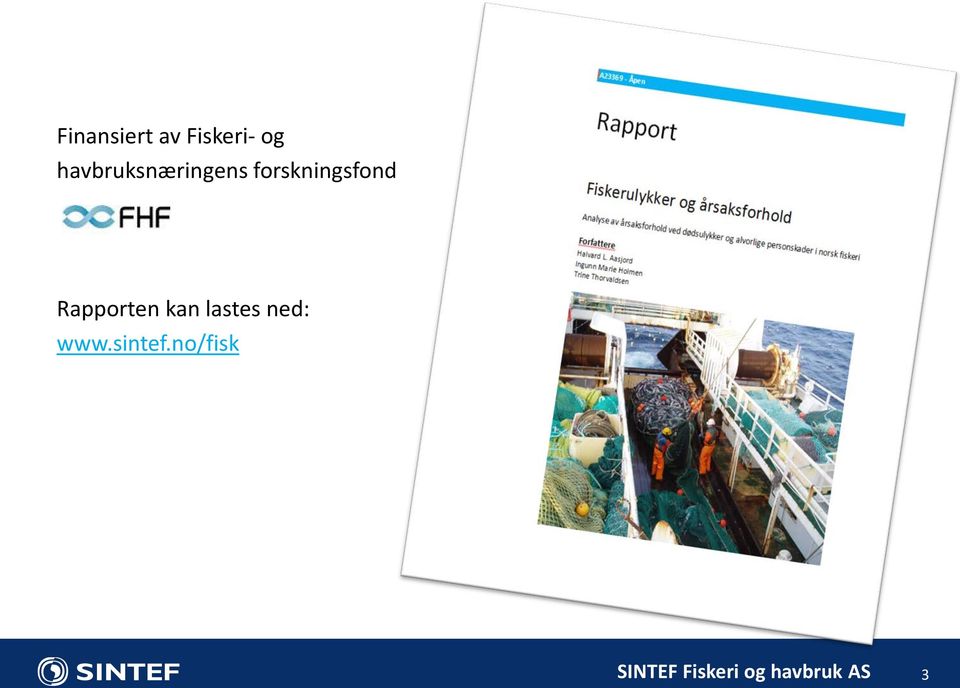 forskningsfond Rapporten