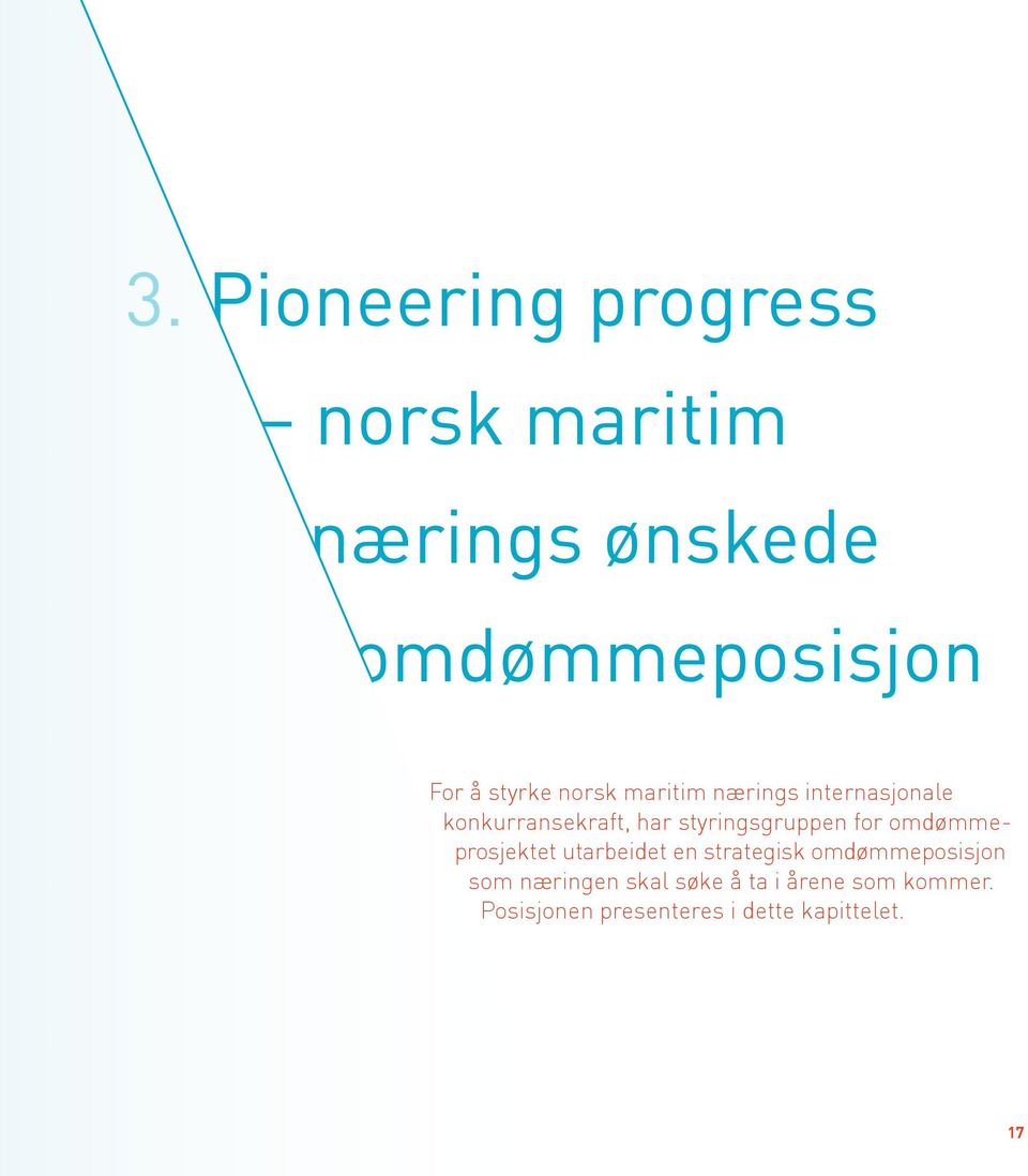 styringsgruppen for omdømmeprosjektet utarbeidet en strategisk omdømmeposisjon