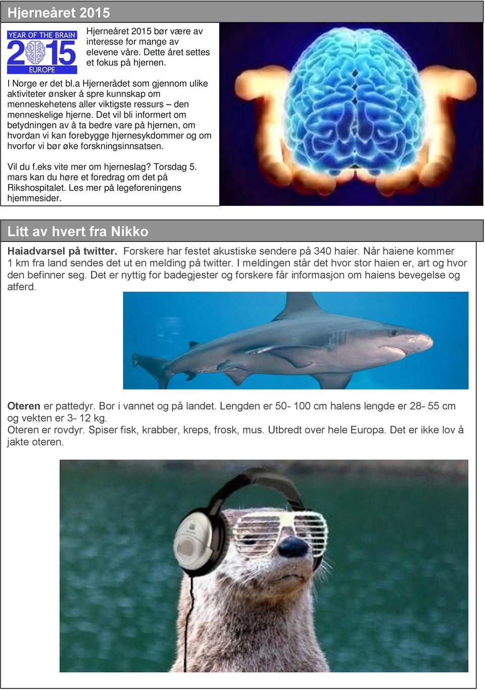 Det vil bli informert om betydningen av å ta bedre vare på hjernen, om hvordan vi kan forebygge hjernesykdommer og om hvorfor vi bør øke forskningsinnsatsen. Vil du f.eks vite mer om hjerneslag?