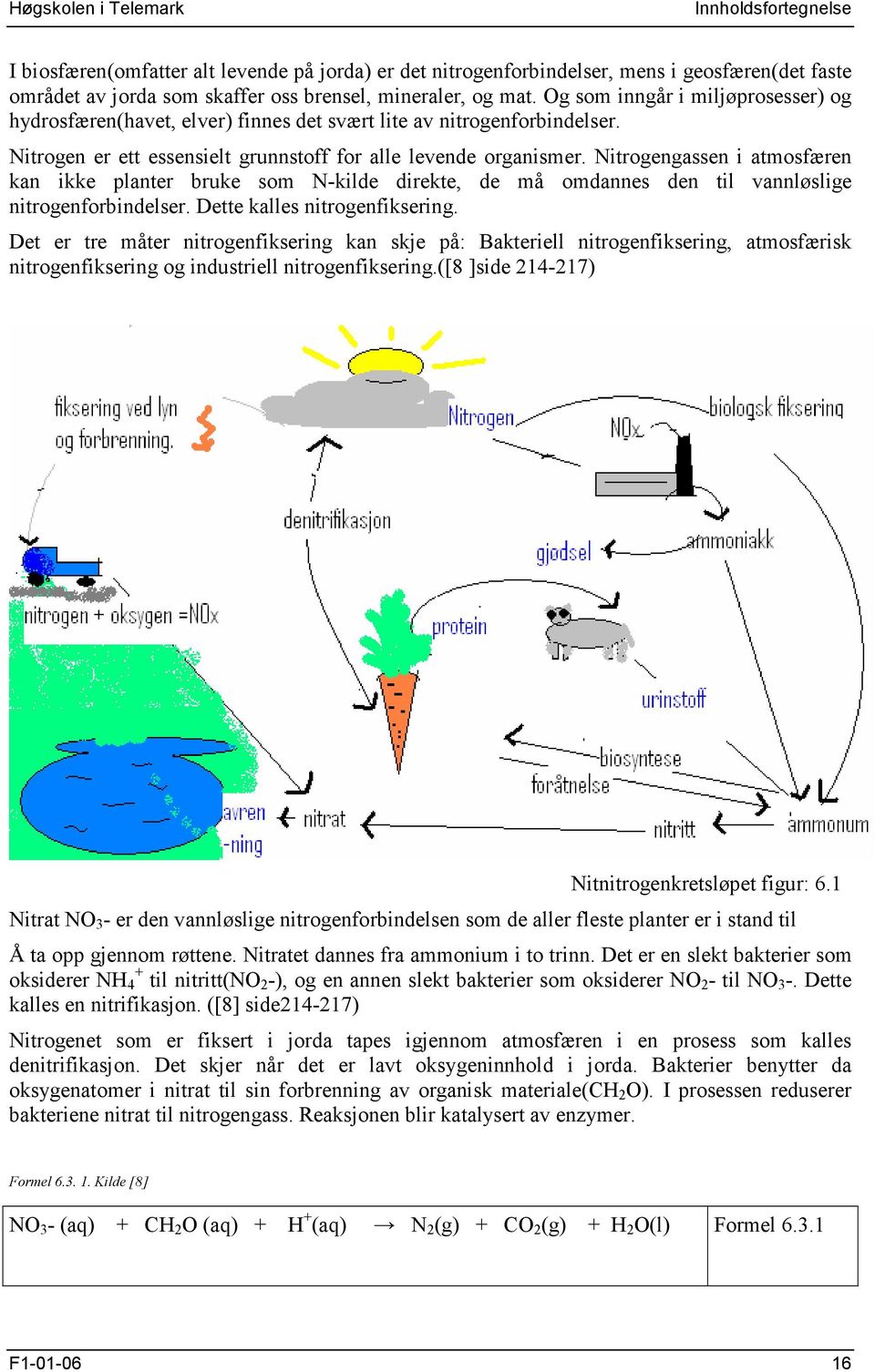 Nitrogengassen i atmosfæren kan ikke planter bruke som N-kilde direkte, de må omdannes den til vannløslige nitrogenforbindelser. Dette kalles nitrogenfiksering.