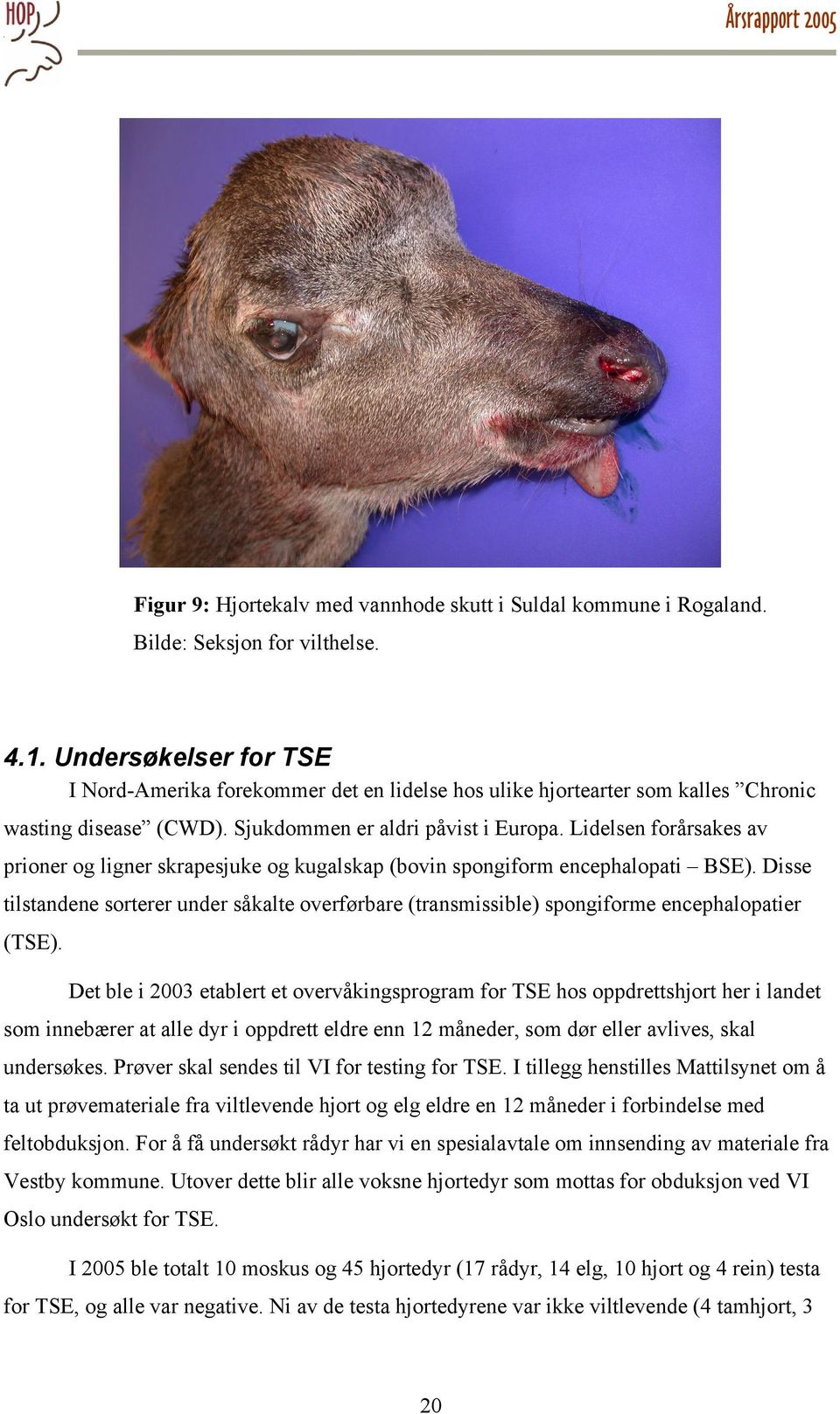 Lidelsen forårsakes av prioner og ligner skrapesjuke og kugalskap (bovin spongiform encephalopati BSE).