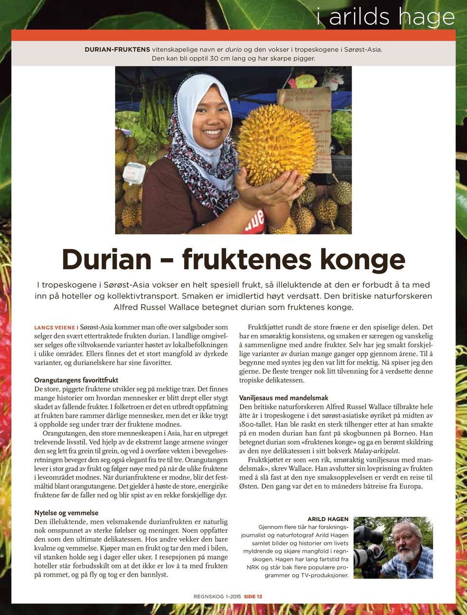 Den britiske naturforskeren Alfred Russel Wallace betegnet durian som fruktenes konge. Langs veiene i Sørøst-Asia kommer man ofte over salgsboder som selger den svært ettertraktede frukten durian.