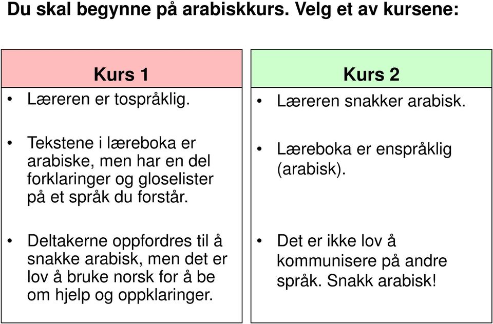 Deltakerne oppfordres til å snakke arabisk, men det er lov å bruke norsk for å be om hjelp og