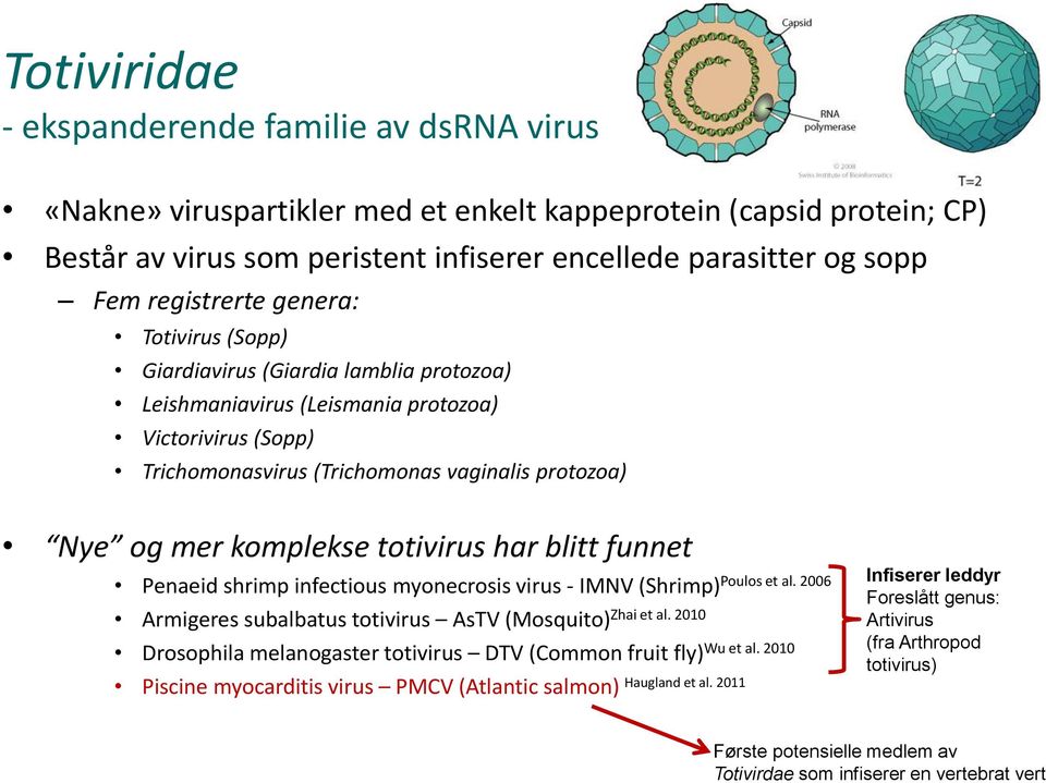 komplekse totivirus har blitt funnet Penaeid shrimp infectious myonecrosis virus - IMNV (Shrimp) Poulos et al. 2006 Armigeres subalbatus totivirus AsTV (Mosquito) Zhai et al.