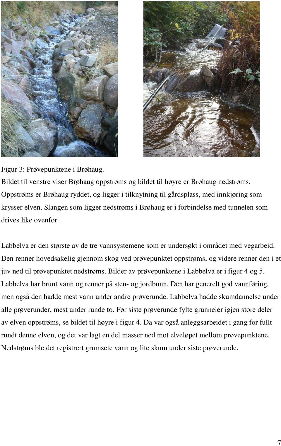 Labbelva er den største av de tre vannsystemene som er undersøkt i området med vegarbeid.