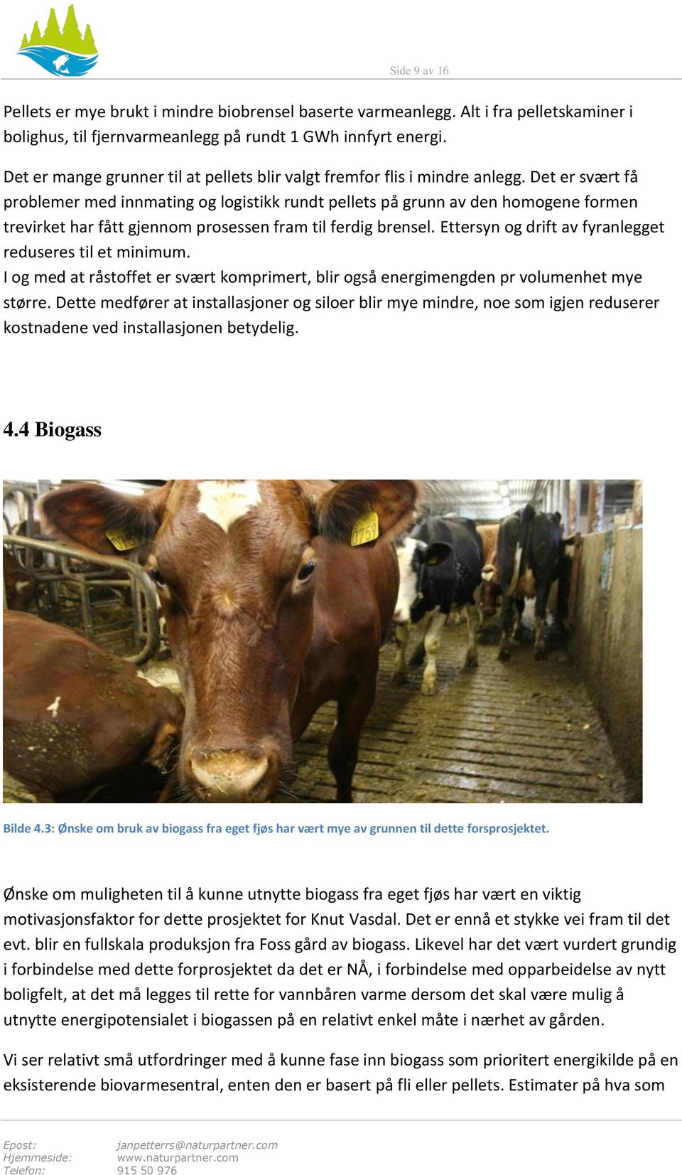 Det er svært få problemer med innmating og logistikk rundt pellets på grunn av den homogene formen trevirket har fått gjennom prosessen fram til ferdig brensel.