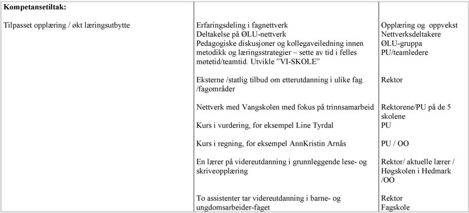 Utvikle VI-SKOLE Eksterne /statlig tilbud om etterutdanning i ulike fag /fagområder Nettverk med Vangskolen med fokus på trinnsamarbeid Kurs i vurdering, for eksempel Line Tyrdal Kurs i