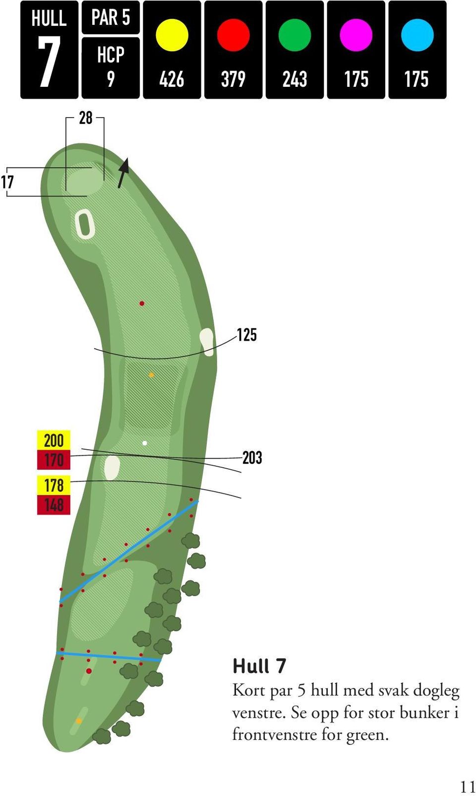 203 Hull 7 Kort par 5 hull med svak dogleg