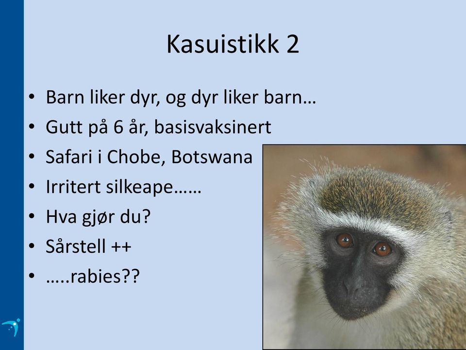 basisvaksinert Safari i Chobe,