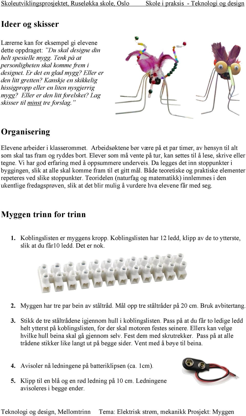 Organisering Elevene arbeider i klasserommet. Arbeidsøktene bør være på et par timer, av hensyn til alt som skal tas fram og ryddes bort.