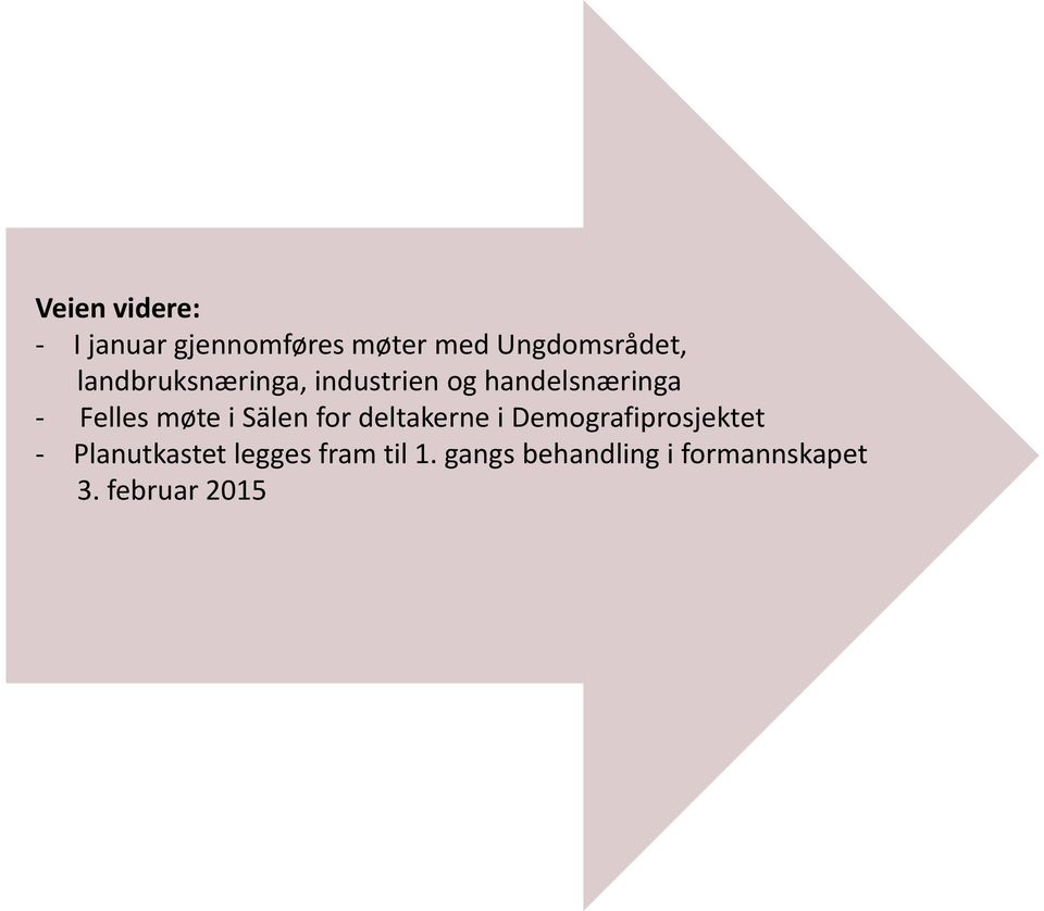 Sälen for deltakerne i Demografiprosjektet Planutkastet legges