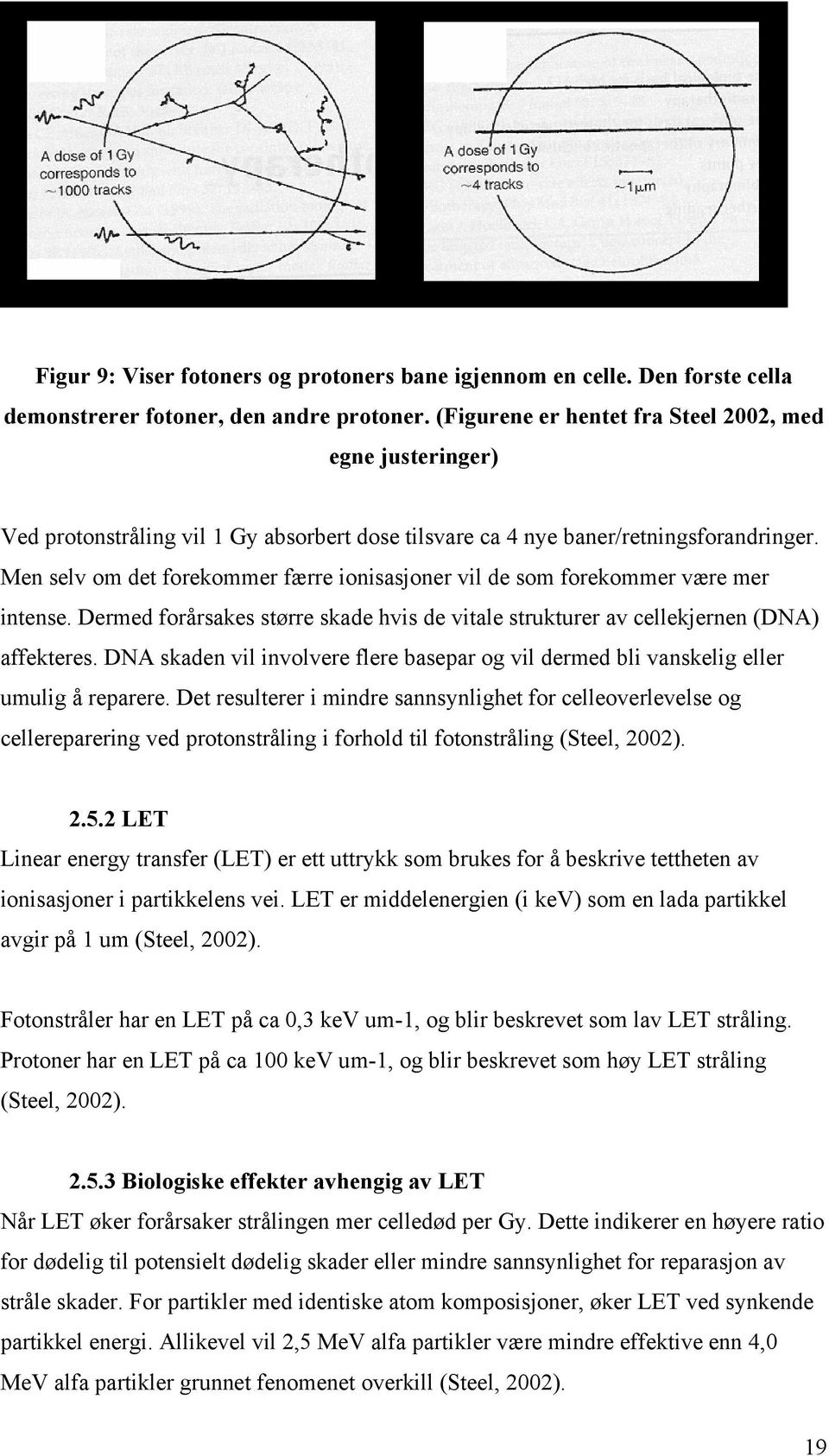 Men selv om det forekommer færre ionisasjoner vil de som forekommer være mer intense. Dermed forårsakes større skade hvis de vitale strukturer av cellekjernen (DNA) affekteres.