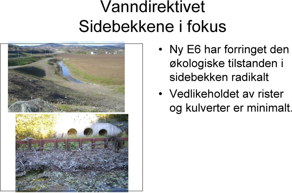 tilstanden i sidebekken radikalt