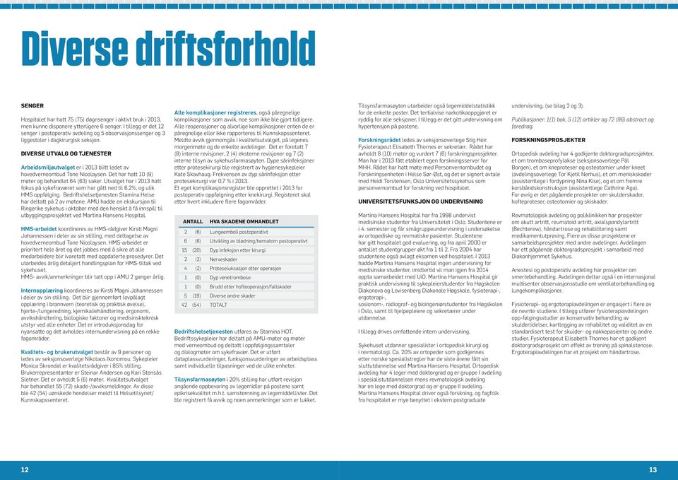 DIVERSE UTVALG OG TJENESTER Arbeidsmiljøutvalget er i 2013 blitt ledet av hovedverneombud Tone Nicolaysen. Det har hatt 10 (9) møter og behandlet 64 (63) saker.